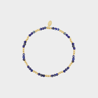 Armband staal blauw
