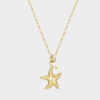 Ketting staal zeester schelp