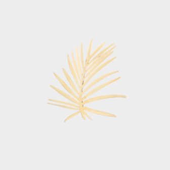 Broche palmtak goud
