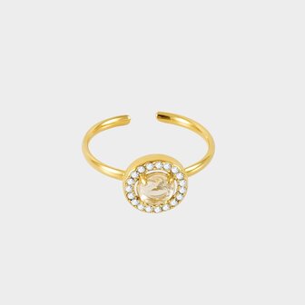 Ring staal zirconia wit