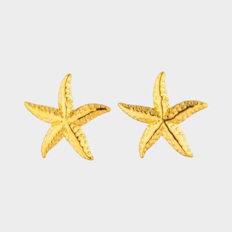 Oorbellen staal zeester goud