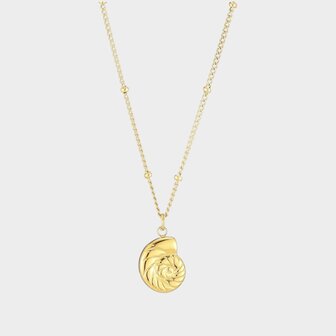 Ketting staal schelp goud