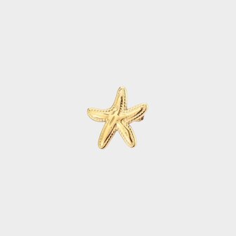 Broche staal zeester