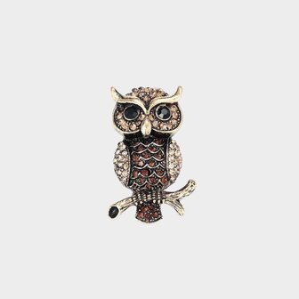 Broche uil oranje