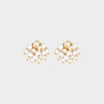 Oorbellen steker parels