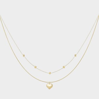 Ketting dubbel staal hart