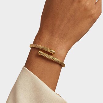 Armband bangle draai goud