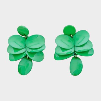 Oorbellen bladeren resin groen