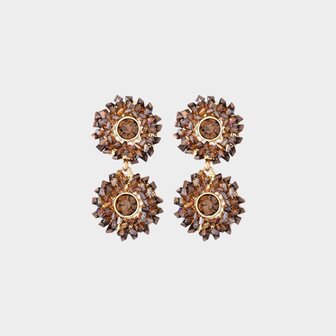 Oorbellen duo rond bruin