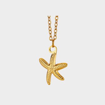 Ketting staal zeester