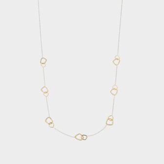 Ketting lang duo schakel