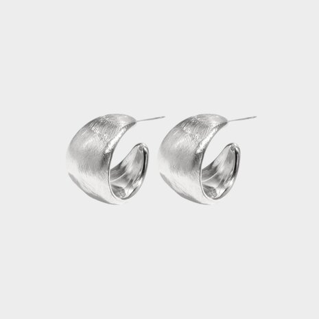 Oorbellen creool geborsteld zilver