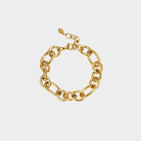 Armband staal schakel goud