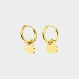 Oorbellen creool steel hart