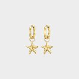 Oorbellen creool staal zeester