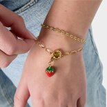 Armband staal schakel