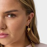 Oorbellen staal hart geborsteld