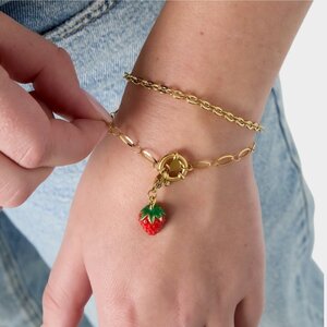 Armband staal schakel