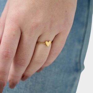 Ring hartje staal goud