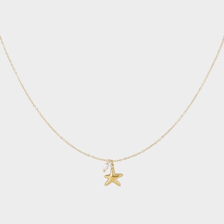 Ketting zeester parel