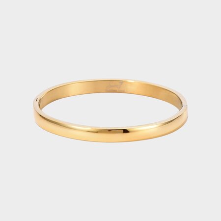 Armband bangle goud staal