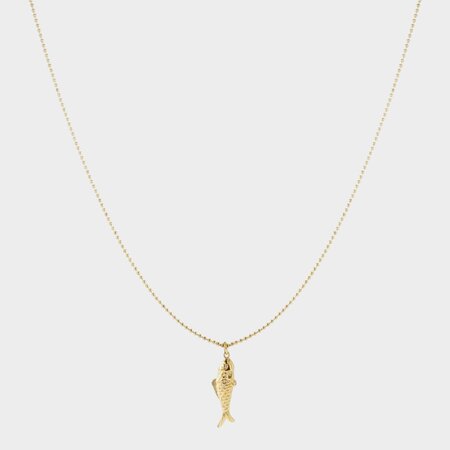 Ketting staal vis