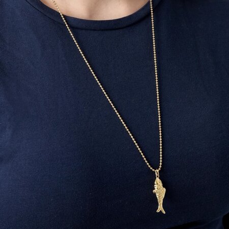 Ketting staal vis