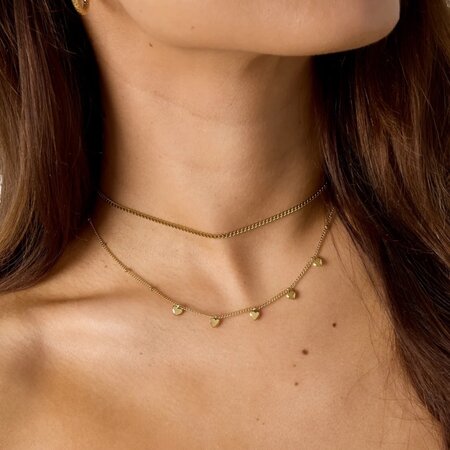 Ketting staal hartjes zilver
