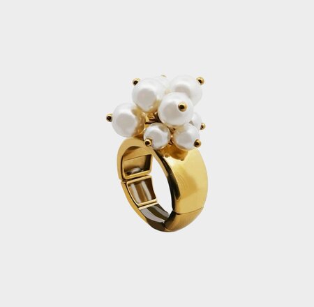 Ring tros parel