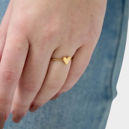 Ring hartje staal goud