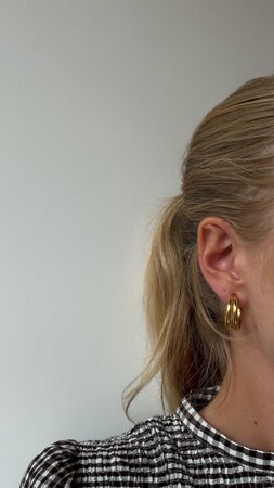 Oorbellen creool dubbel staal