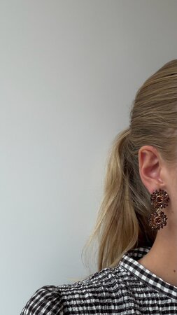 Oorbellen duo rond lichtbruin