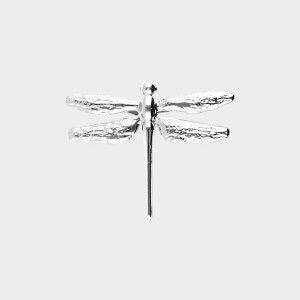 Broche libelle zilver
