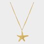 Ketting zeester zirconia
