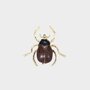 Broche tor bruin