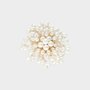 Broche parels